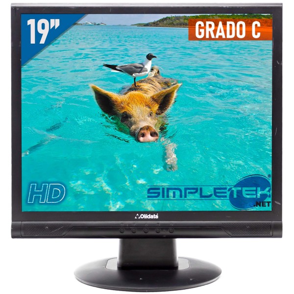 OLIDATA SCHERMO MONITOR LCD DISPLAY 19" HD 4:3 5:4 DVR CASSA PC VGA FISSO