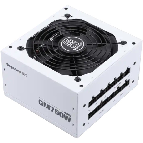 ALIMENTATORE FULL MODULARE 750W PCIe 5.0 80+ GOLD GAMING PSU RTX PROFESSIONALE